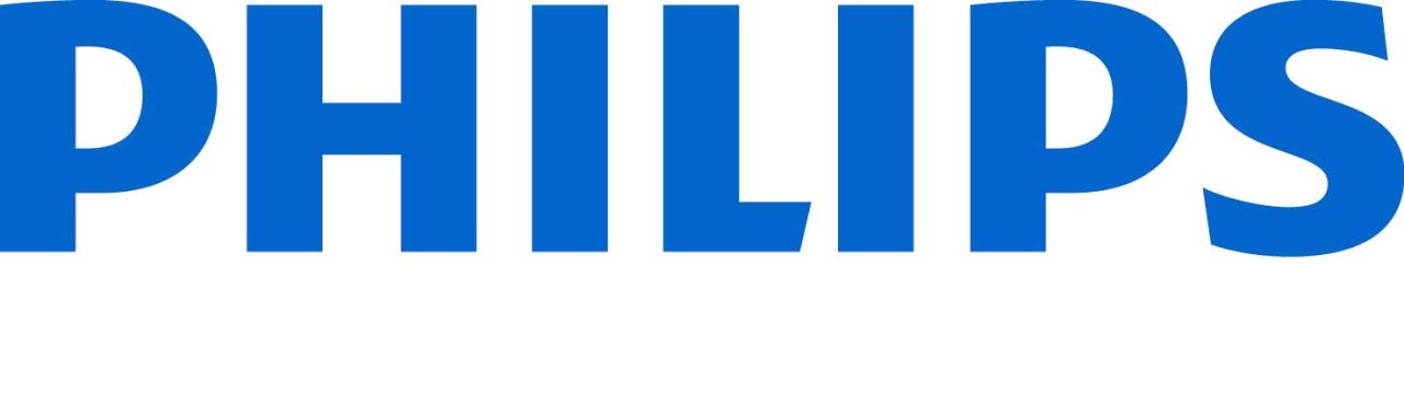 Philips hue web